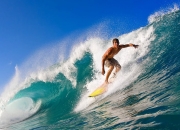 开云官网-福克斯闪耀全场，广厦闪电战速胜雄鹿，展现团队篮球新高度