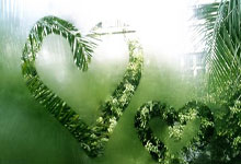 开云棋牌入口-劳塔罗之夜，当NBA总决赛的聚光灯照亮足球巨星