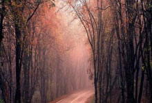 开云棋牌平台-快船强势澳大利亚男篮，布克爆发神勇