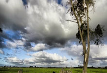 开云棋牌官方-数据解码悬念！内马尔奥运封神逆转之战