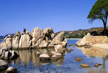 游戏试玩模拟器-英超魔幻夜！杜兰特跨界绝杀法国队，死亡之组突围现曙光