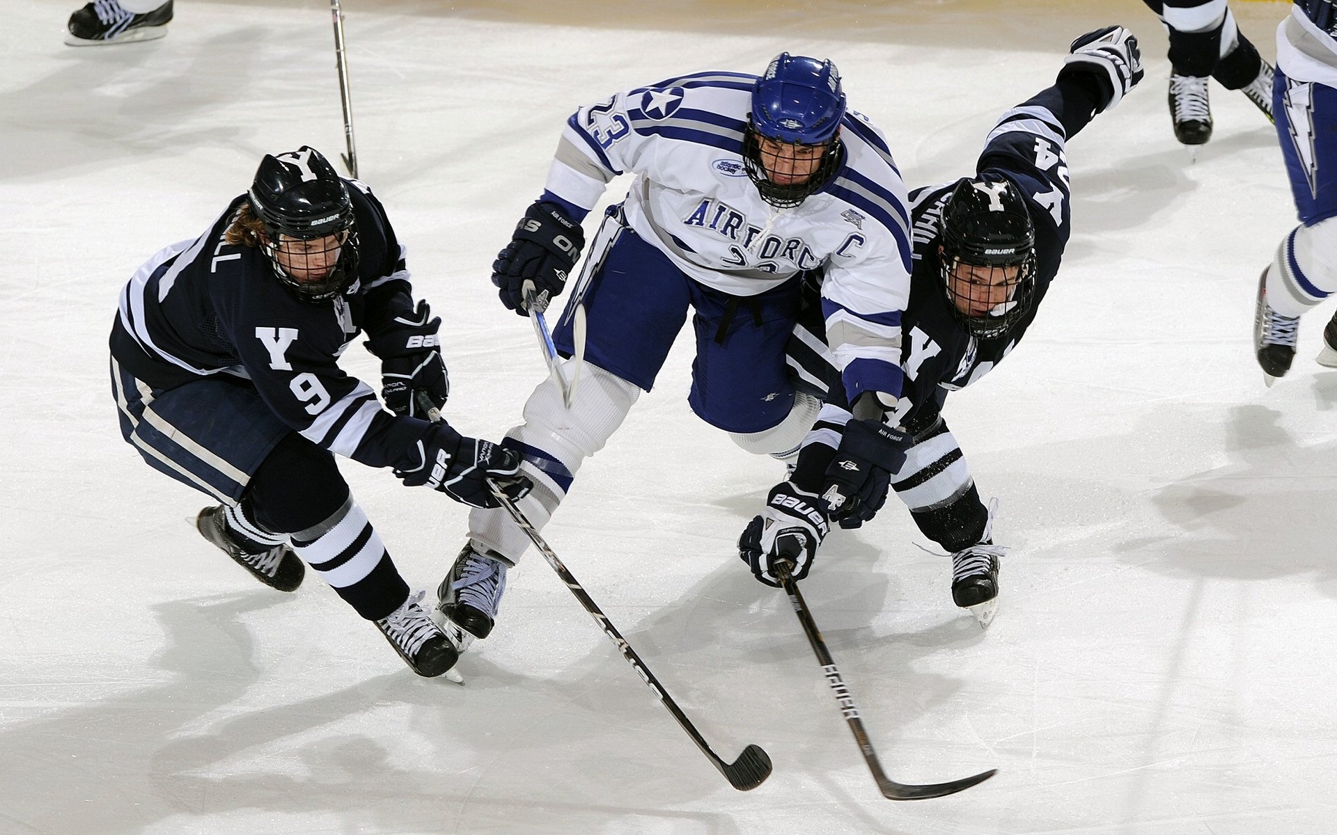 黄蜂关键战突围太阳，杰伦格林防守端锁死对手